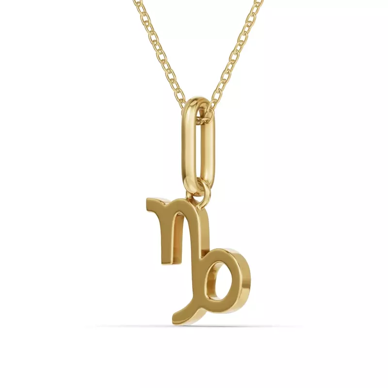 14K Yellow Gold Capricorn Zodiac Glyph Necklace