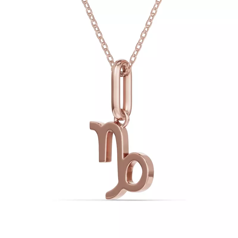 18K Rose Gold Capricorn Zodiac Glyph Necklace
