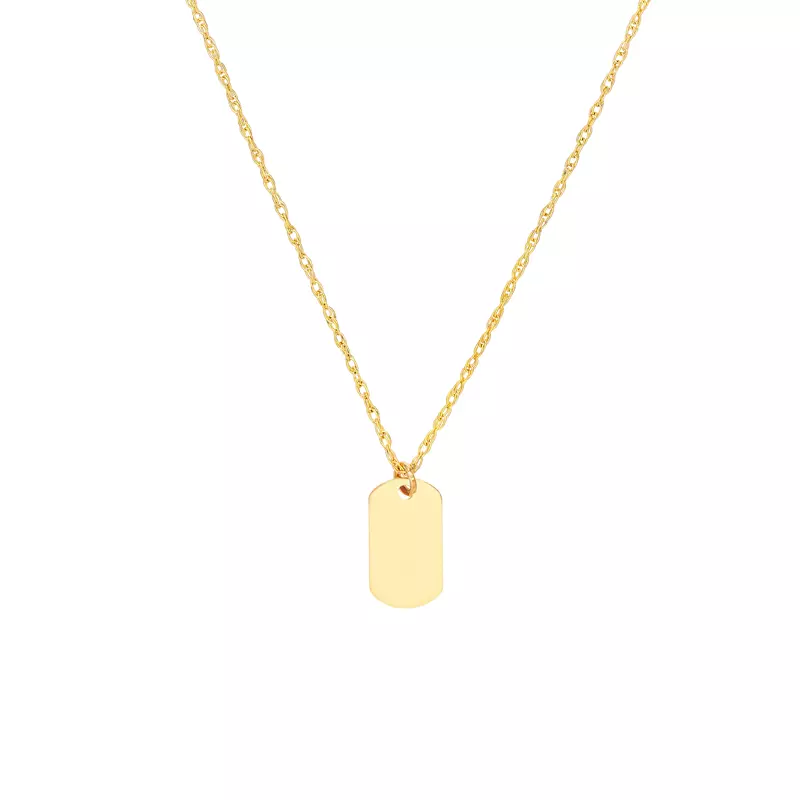 Mini Dog Tag Gold Necklace