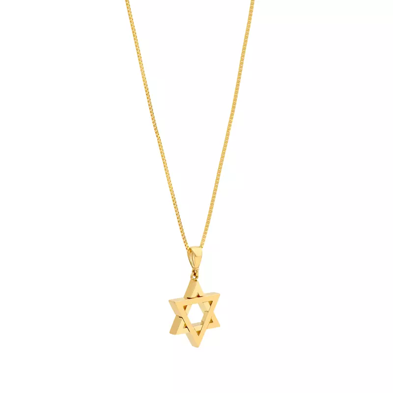 14K Yellow Gold Dimensional Star of David Gold Necklace