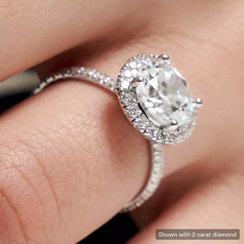 14K White Gold Chloe Single Row Halo With Pave Band