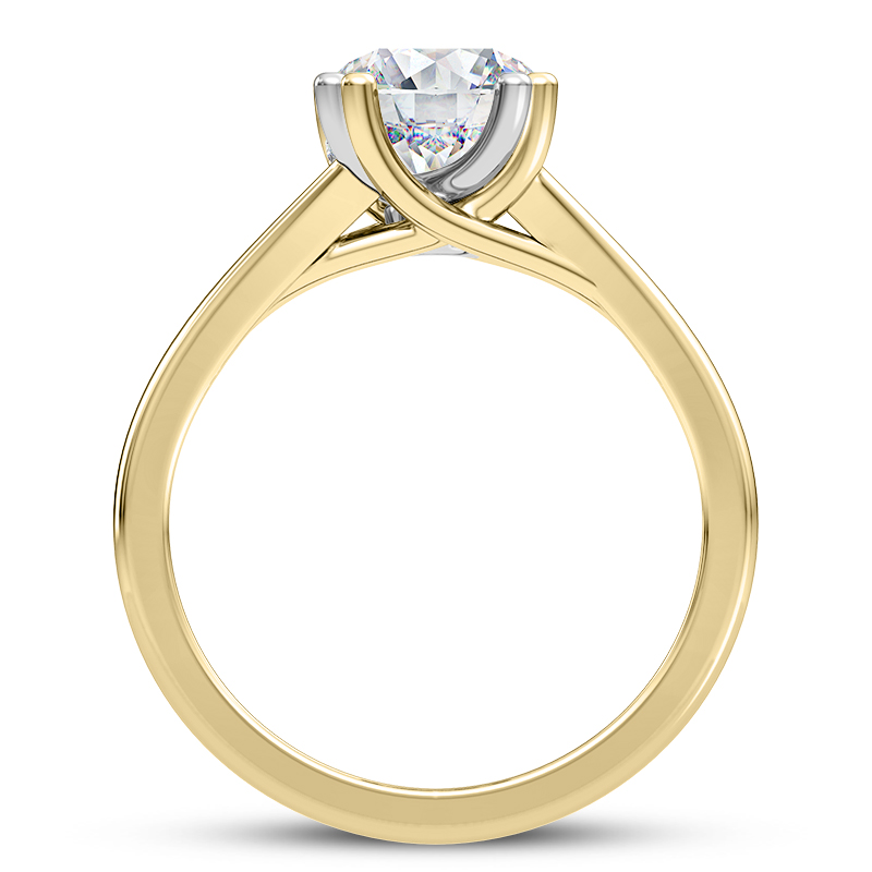 Tori Double Prong Mixed-Metal Hidden Halo Engagement Ring - 14K