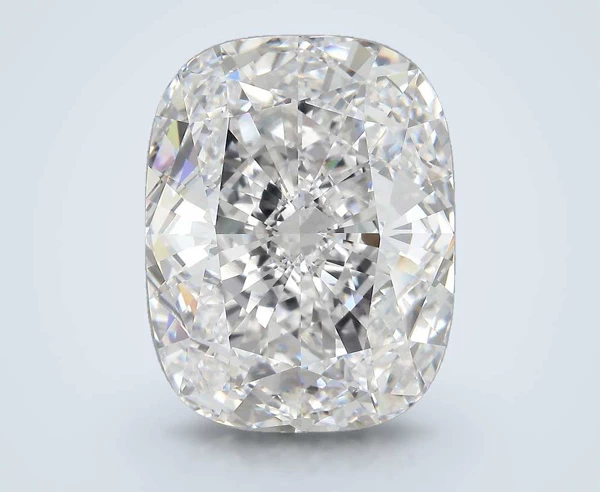 16.6 Carat · F · VVS1 very good Cut
